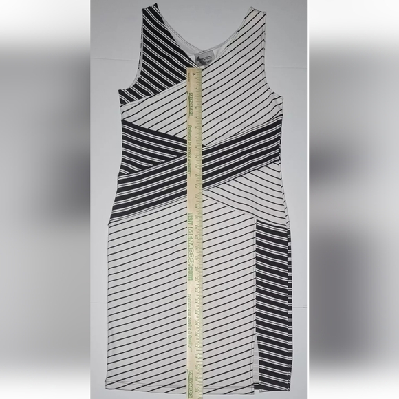 Lynn Ritchie Silver Dress Black and White Striped Knit New with Tags Size Small - Picture 8 of 12